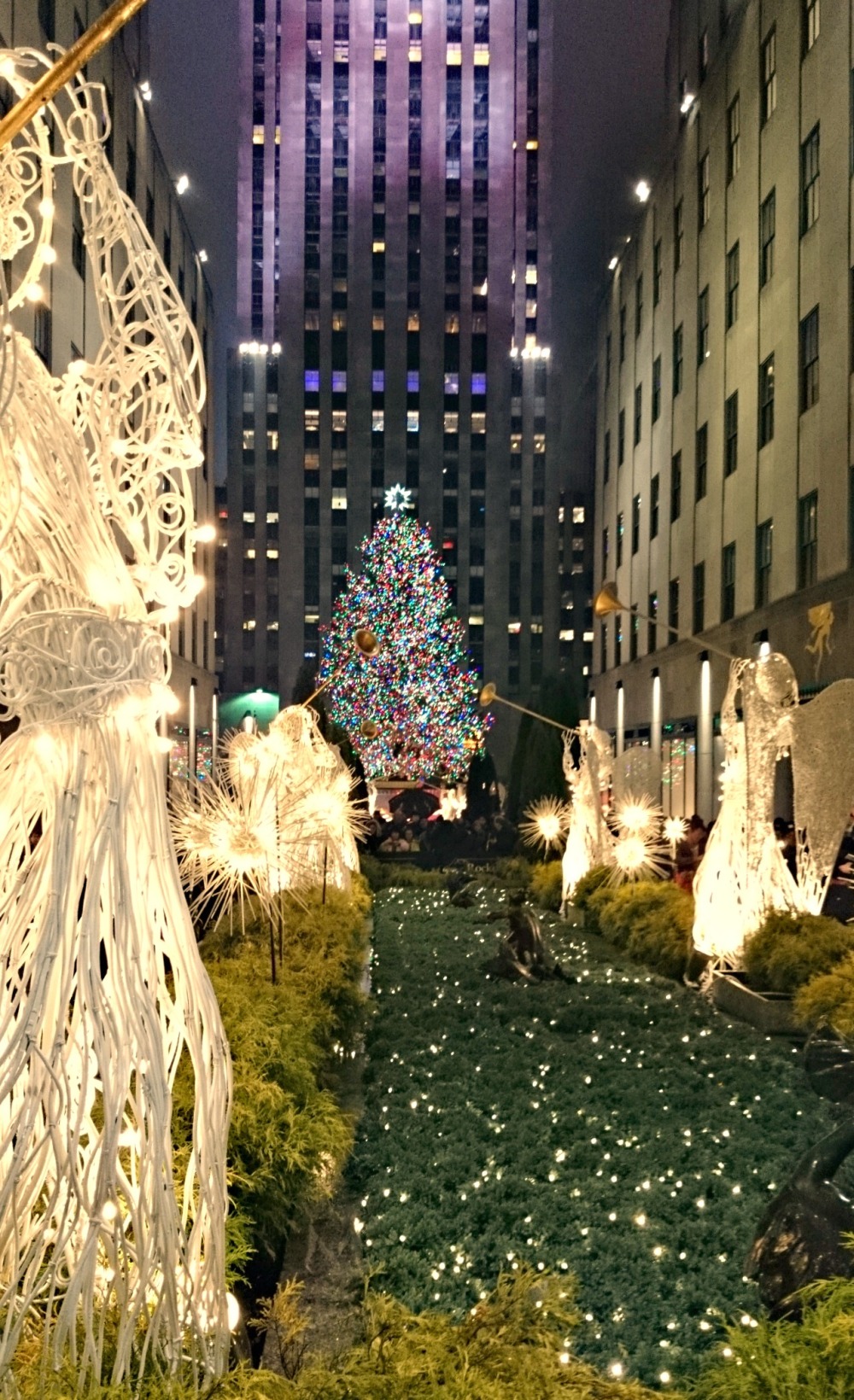 Rockefella Centre Christmas Tree, New York